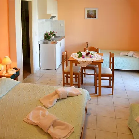 公寓 阿多斯一室公寓 *